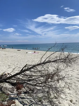 Magnificent villa for 2 to 8 people with private pool - close to the sea Отели в г. Гизоначча