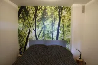 Apartment am Kurpark - beautiful, quiet and right in the middle -
