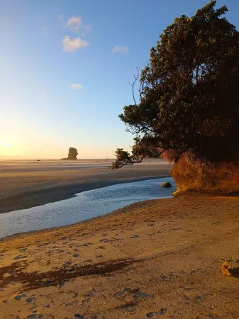 Huāki Punakaiki Bach Отели рядом с достопримечательностью «Панкейк Рокс Лукаут»
