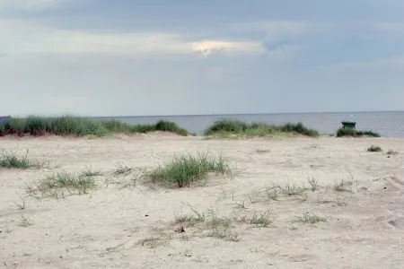 Apartment 4 "Kiebitznest", 35sqm, balcony, near the beach, max. 2 persons