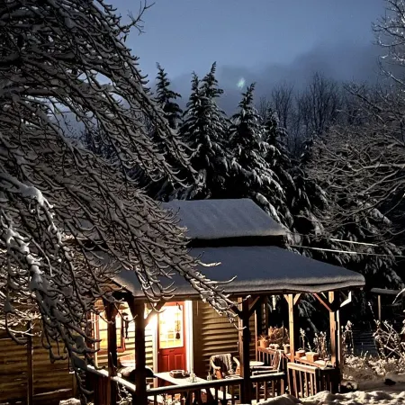 Zen Mountain Cabin: Forest-Bathing & Private Waterfall in Wine Country