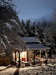 Zen Mountain Cabin: Forest-Bathing & Private Waterfall in Wine Country
