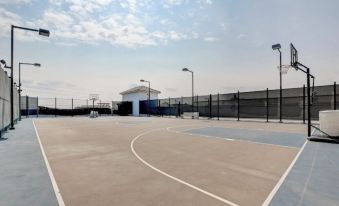 Rooftop pool with outstanding strip - 0221y12000llul3nn4C62 R 339 206 R5 D