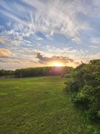 Villa in a serene environment, close to nature. Отели в г. Бель Омбр