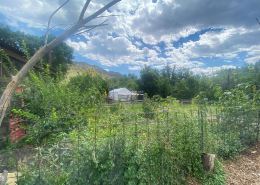 Serene Glamping: Nature & Retreat