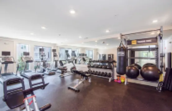 Lavish 1 bed Apt + Rooftop & Gym - Downtown Stamford