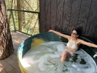 Yeti's Tree House: Where Dreams Come True