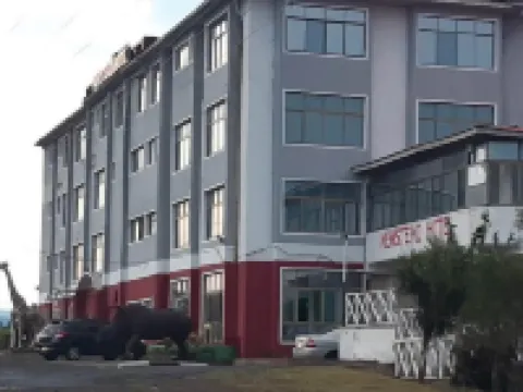 奈瓦沙紐斯特德酒店 奈瓦沙酒店