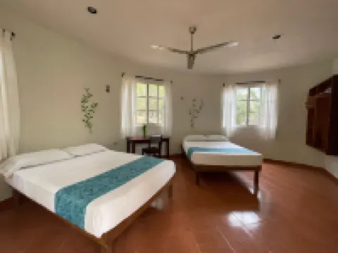 Eco-Hotel Nueva Altia Hotels in Santa Elena
