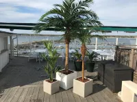 Strandhotellet - Haustierfreundliche