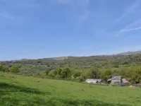 Buster Barn - Wifi