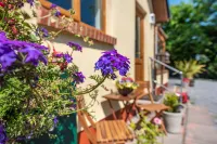 Covert Farm Cwtch Hotels in Jeffreyston