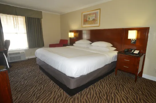 霍姆頓套房酒店