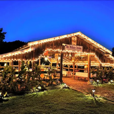 Cozy Cabin and Tubing! Swim, Horses, Hiking, Lake-3 mi from Helen! Relax!