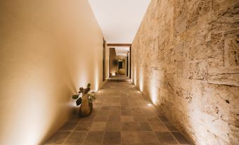 Punta Agave Suites