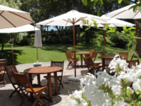 Hotel del Bosque