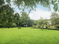 Tranquility - Pet friendly