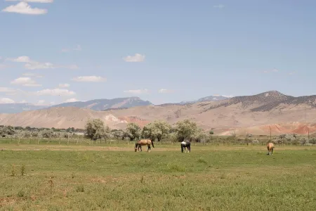 Updated Main St Apt Near Fishlake and Capitol Reef!