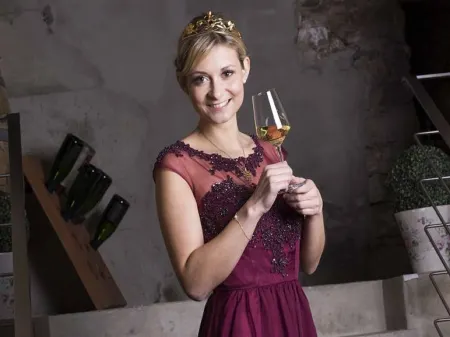 Weinhotel Goger Отели в г. Хофхайм-ин-Унтерфранкен