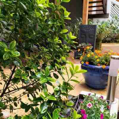 Logis Hôtel Herard Hotel Exterior