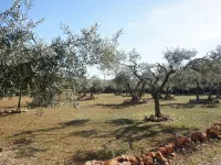 Le Mas de Cotignac Hôtels à : Cotignac