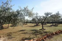 Guesthouse le Mas de Cotignac