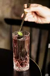 Mercure Roma Corso Trieste - Bar