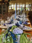 Maison de Leo Luxury Guesthouse Hotels in City of Tshwane Metropolitan Municipality