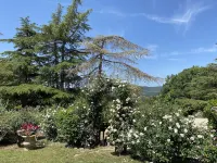 Todi - villa with swimming pool and tennis court