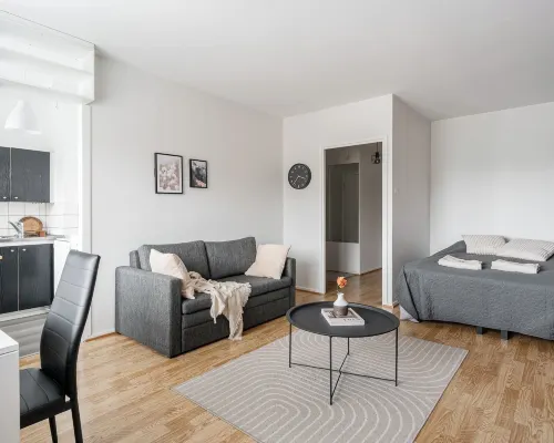 Comfy Studio Apt with Prime Location Hotels in Jyvaskyla