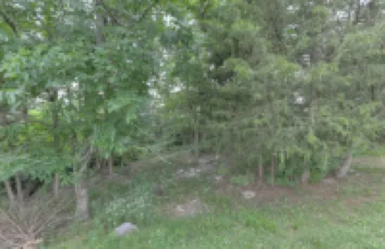 Glenmore-Quiet,  home near EVERYTHING!