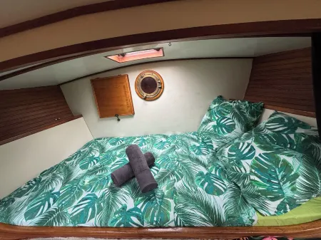 An unusual night on a sailboat