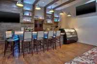 Hampton Inn & Suites by Hilton- Newark Airport Elizabeth - bar