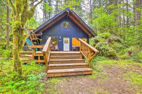 Peaceful Wooded Cabin by Mt Baker Ski Area!