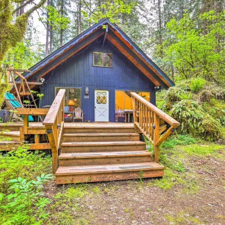Peaceful Wooded Cabin by Mt Baker Ski Area!
