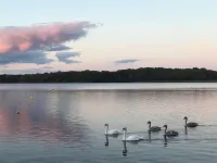 Neue Maisonette Wohnung Nahe See und Wald Unweit von Berlin Hotels in Kallinchen
