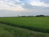 Deena Homestay (Utan Aji), Spacious, 6-8pax, Free Wifi Hotels in Kangar