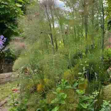 Coastal haven Hotel Exterior