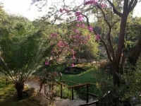 Surfingbirds Home for Surfers and Birdwatchers, restaurants at walking-distance Hotels in 