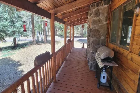 Charming 3 bedroom cabin in the White Mountains, Tal Wi Wi/Alpine with WIFI