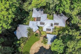 Rainforest Relaxation.