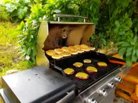 A different experience in a plane lost in the Colombian forest Hotels in La Calera