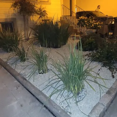 Charming 1-bedroom cottage with AC near Piedmont and Lake Merritt. Pet friendly!