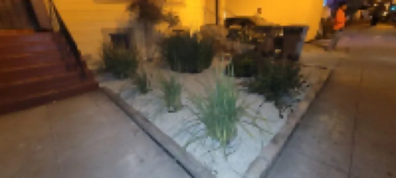 Charming 1-bedroom cottage with AC near Piedmont and Lake Merritt. Pet friendly!