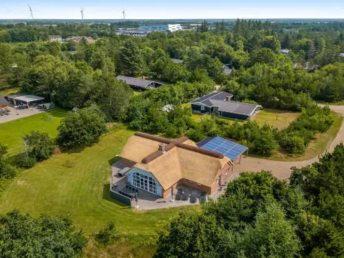 "Sondra" -  from the Sea