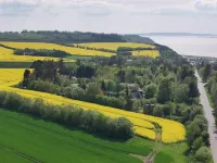 "Aranja" - 300m to the Fjord