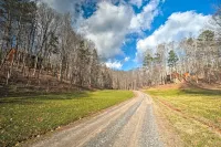 Hot Tub + Fire Pit: Dog-Friendly Cabin in Murphy! - Pet friendly