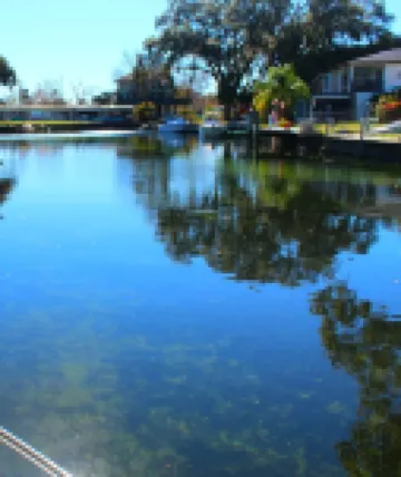 Tiki Tropical Retreat - directly on the clear Weeki Wachee River (not a canal)