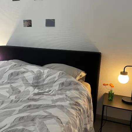 Big beautiful appartement in center of Antwerpen