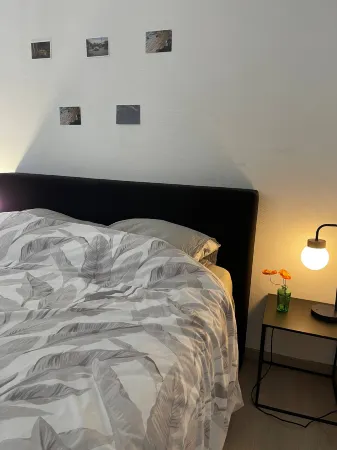 Big beautiful appartement in center of Antwerpen